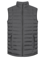 Steel Gray